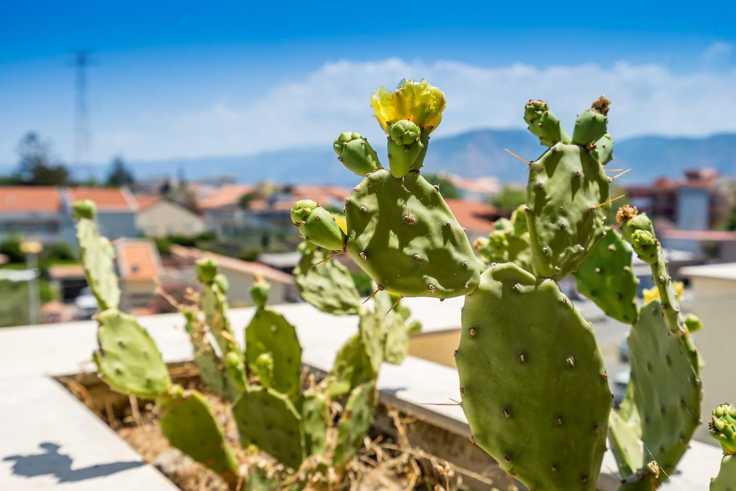 Capo Peloro Hotel (Adults Only) Торре-Фаро 4*,  Италия